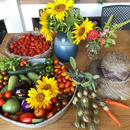 Agriturismo Podere Prasiano Marano sul Panaro Zewnętrze zdjęcie