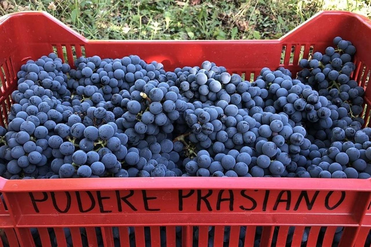 Agriturismo Podere Prasiano Marano sul Panaro Zewnętrze zdjęcie
