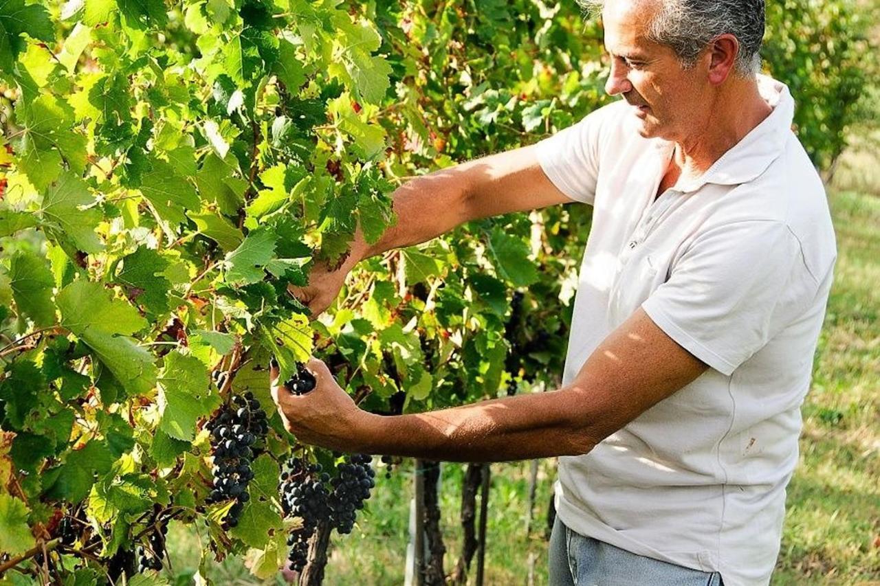 Agriturismo Podere Prasiano Marano sul Panaro Zewnętrze zdjęcie